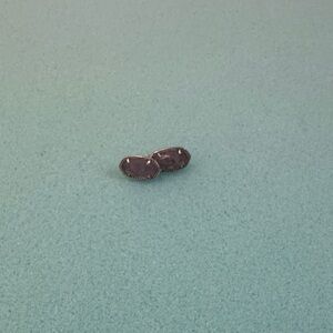 Kendra Scott Purple Earrings